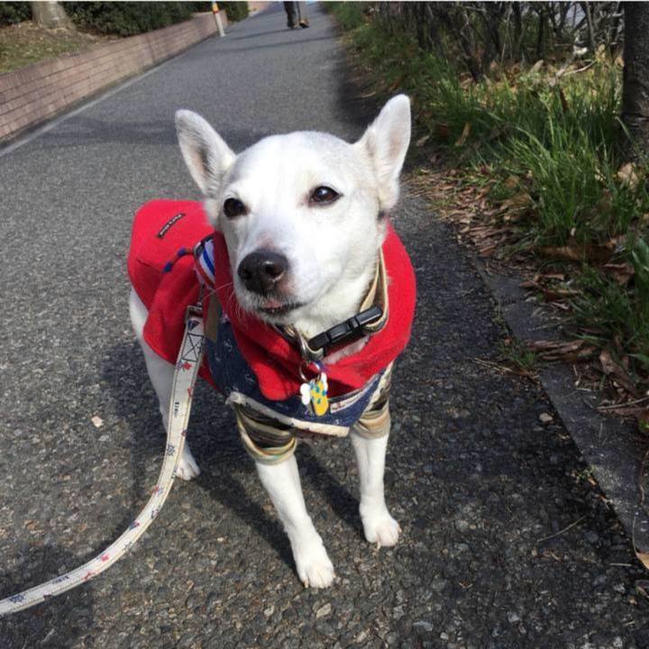 A08d42e7 63aa 4dd4 a57c 2ffdb6a9a276 1771282393002