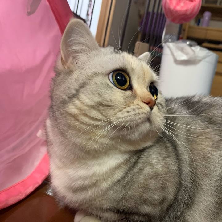 A08d4575 a66e 4ddb 8a62 dd0b02fe67be 1706650574590