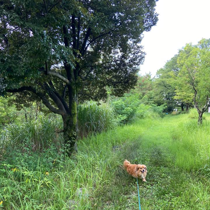 A08d5d68 8936 43b1 b563 3f54b8d5caee 1596323489975