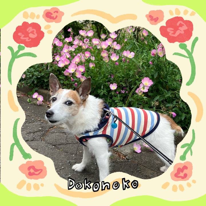 A08d6f1d 6e8f 46e9 b857 eda605dbe7d3 1715476513777