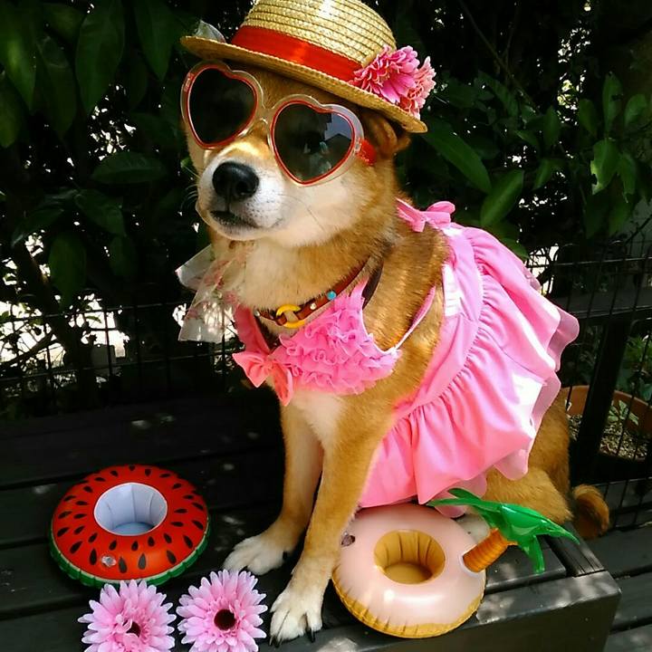 A08d78aa ce86 4618 9ba8 c6cd610caea2 1532245186329