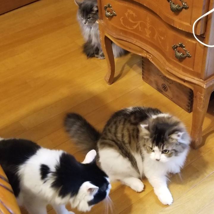 A08d7c1c d04a 4922 939c bd6710ce74e2 1583928022140