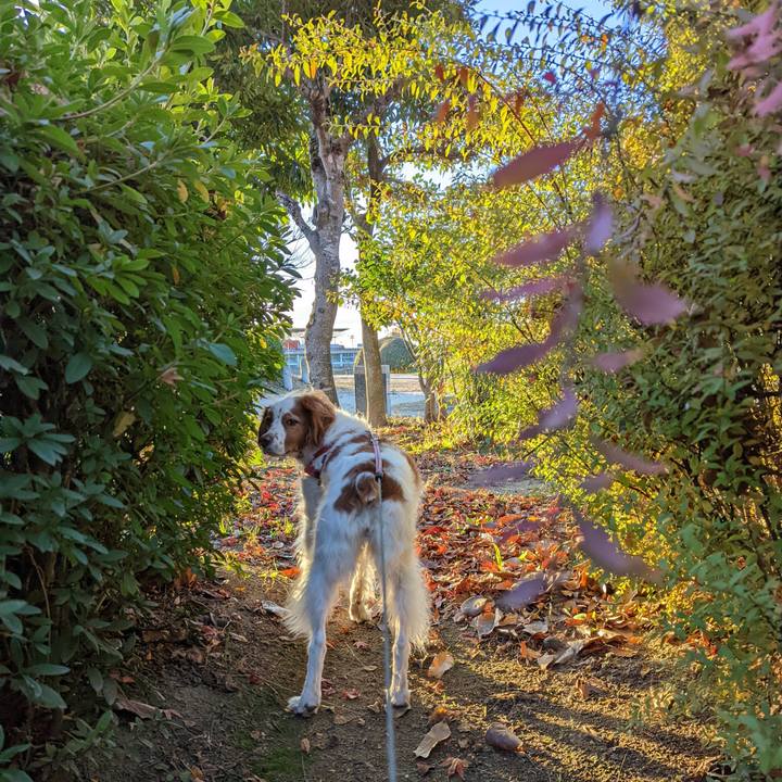 A08d838d 7be5 44cc 98a4 7ca7975a4419 1639395924356