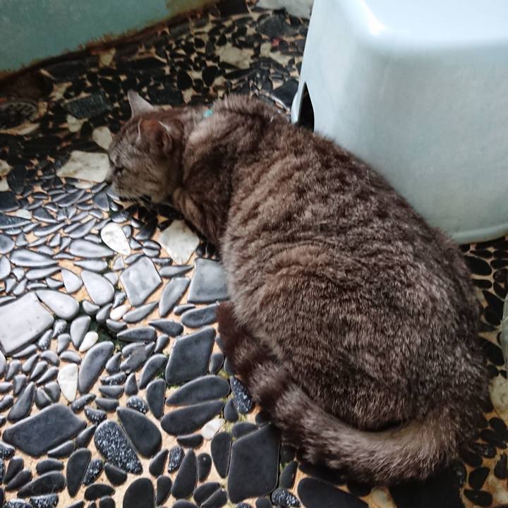 A08d9338 4ad9 4f86 b71e 806d8a4d0d05 1565124412473