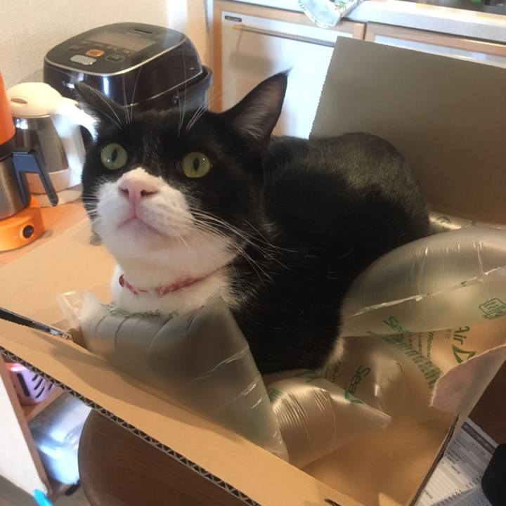 A08dc5b7 75a0 46ad 9ae1 0cd386d0dc69 1558515661977