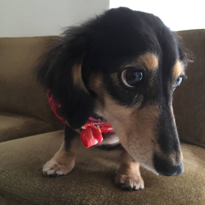 A08dd5dc 769e 46ea aeca 8bdf6467c1b9 1530231986897