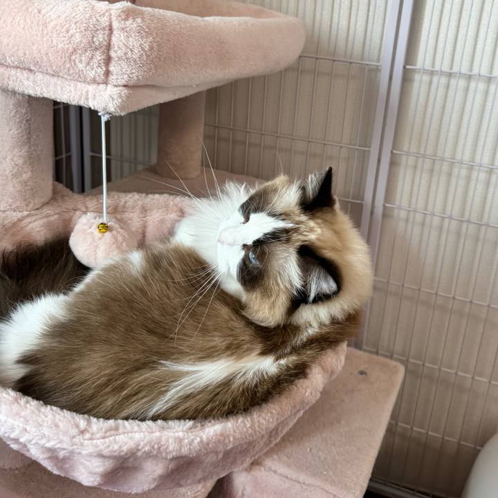 A08e3b45 6e22 4dce 8e65 9b1b79db15da 1742960059584