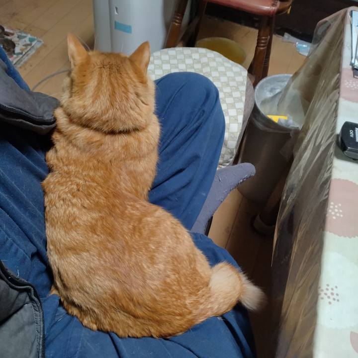 A08ed87c 7178 4211 9b3b 31e8f62028aa 1701172731617