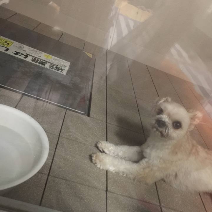 A08edaa5 2b0e 4c2e be64 f53dd8ad547f 1530705820066