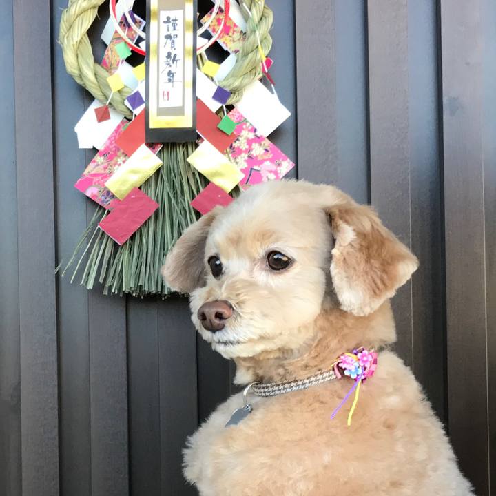 A08f0507 71a6 486d adf9 be305d3c9f78 1512298477468