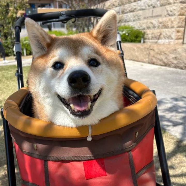 A08f2c69 679b 4d23 b31e 58cf854a7508 1744436957700