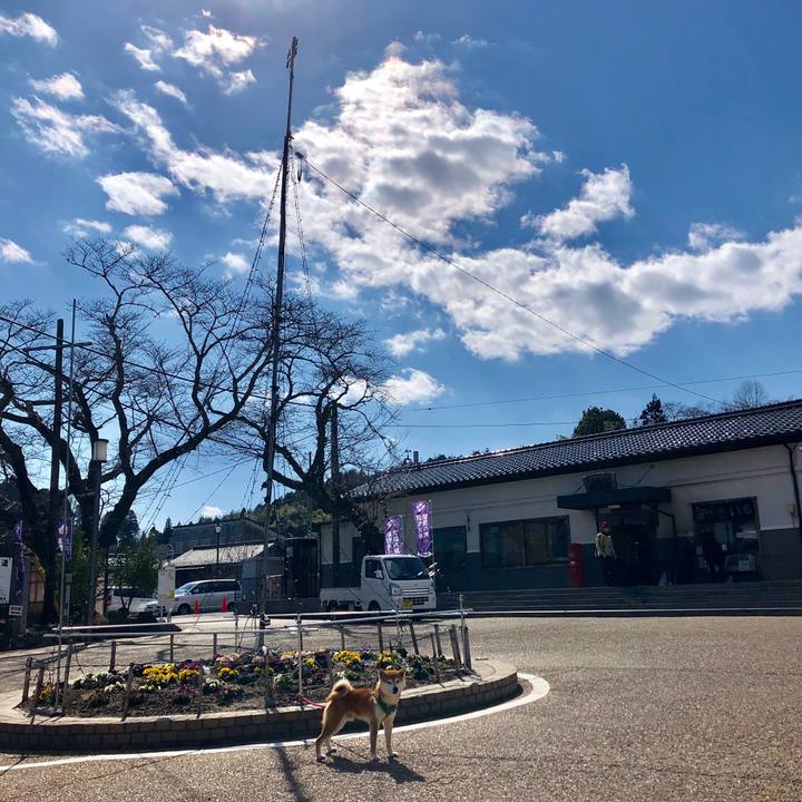 A08f40b8 110b 440c 9e54 e600419c8b24 1553428004282