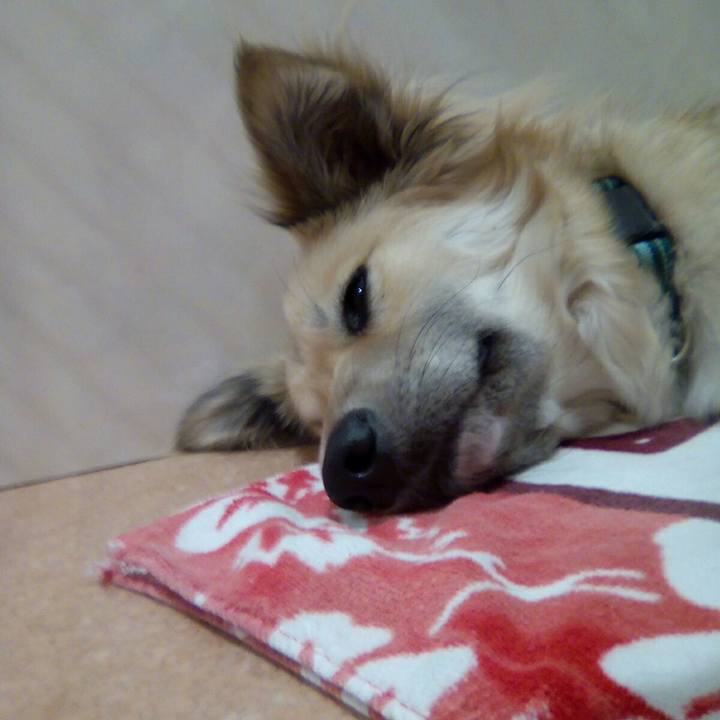 A08f6183 b48e 465d b934 577d7cb58f1f 1516365004334