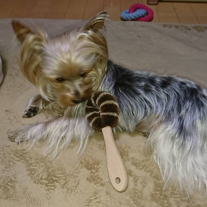 A08f63df 9ac1 47ae bc3c 1eb7a44aade5 1557316324626