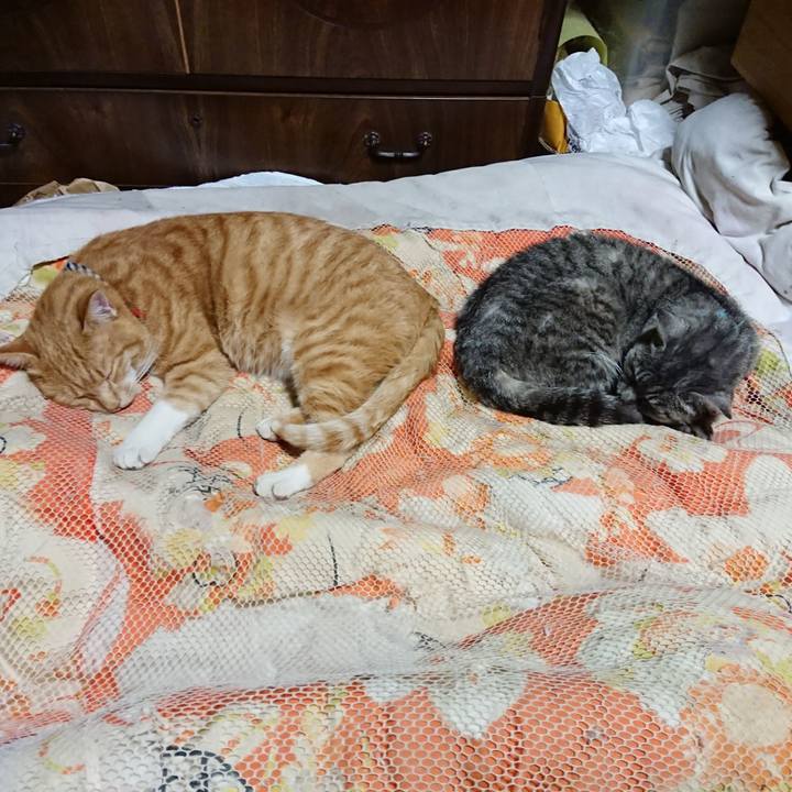 A08f7495 6df5 41b9 b54f b80234477374 1571496214644