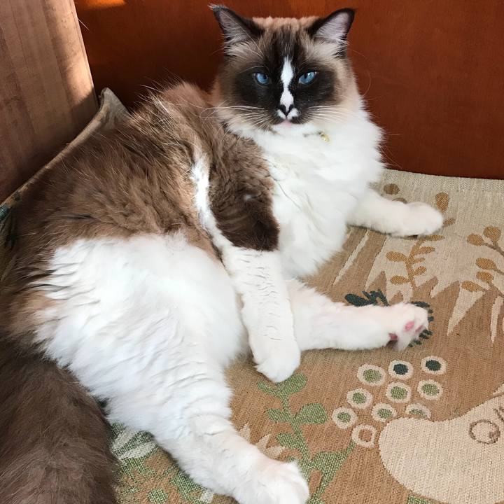 A08f7512 0768 42b5 96bb 57649ef34f6c 1515017396628