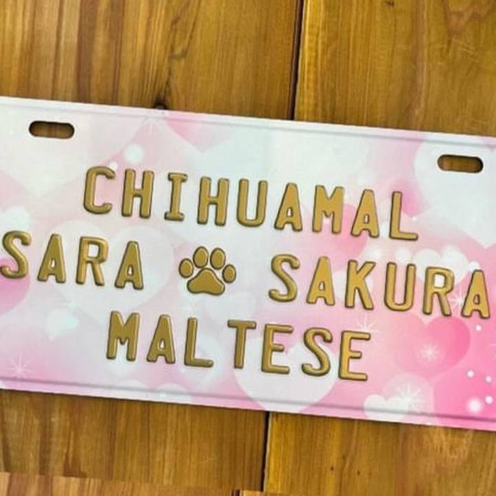 A08f7b2d 310e 402c 83c1 140ca64552e4 1711871403289