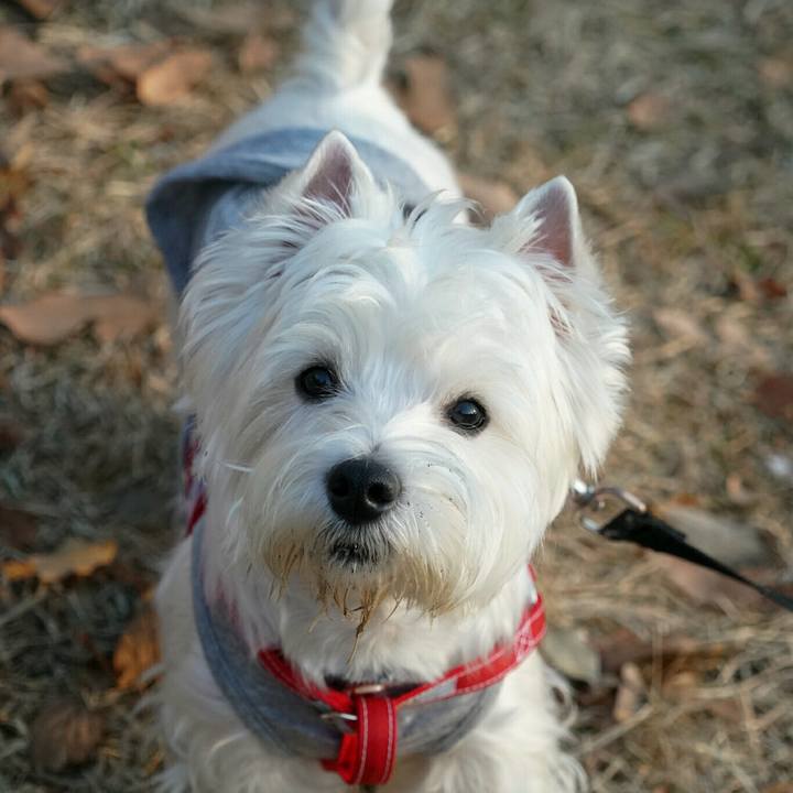 A08fa177 e51f 46b6 959a bc03bb30b8d6 1514281650817