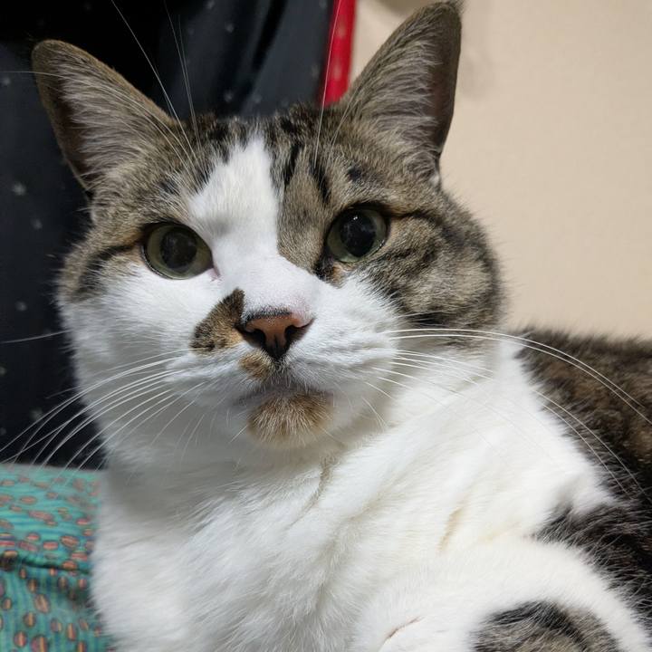 A08fbfdd f402 4821 bdc5 b5a616d3afd9 1775730908679