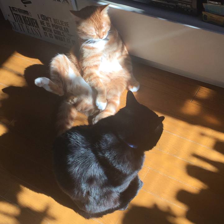 A08fcb1c 2427 4a82 a362 c8c6265562f5 1548125312142