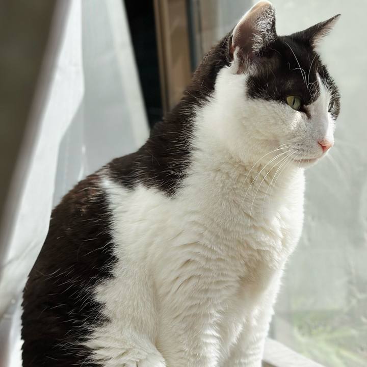 A0900c4a 5643 444c 8f52 dd6a4cfe61a7 1685496094697