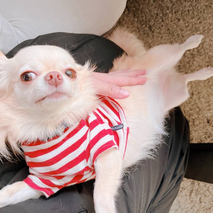 A0901678 a20d 443e 815f a8c86ee5e35c 1663836173426