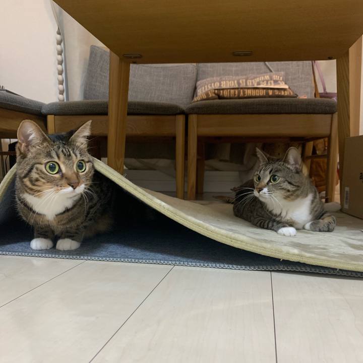 A0907ecd 45f0 4939 92ca 3d104a49cac1 1611497971410