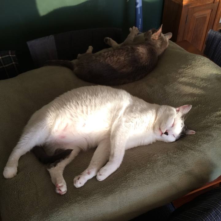 A0908401 f51f 48d7 8a7e f9ac6a5f4ddb 1513782057569