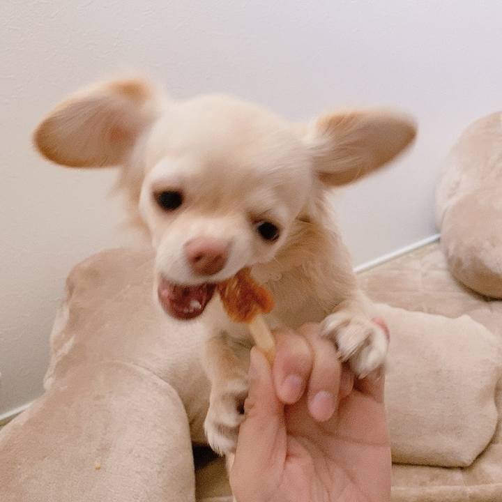 A0908cea dd22 4404 a25b e72f701e2916 1614832792760