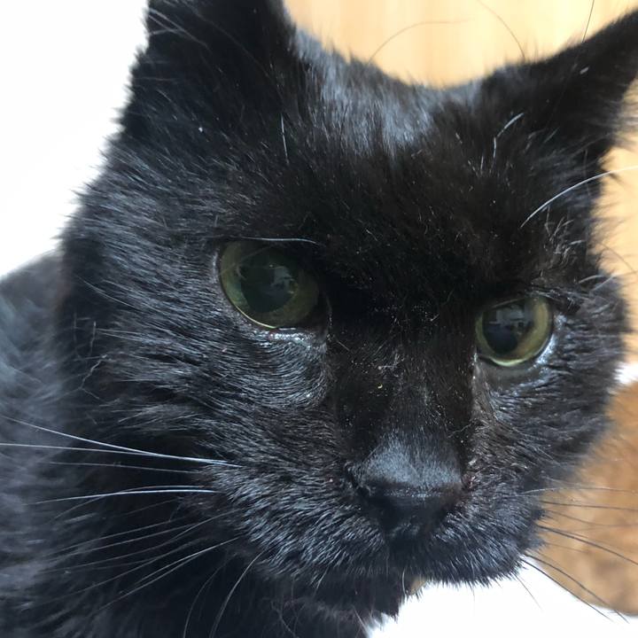 A090b341 df9e 4056 97b4 4566425544cf 1646390086468