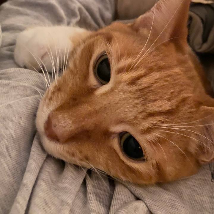 A090b708 172b 4848 b6e5 83a64936fa01 1743817324835