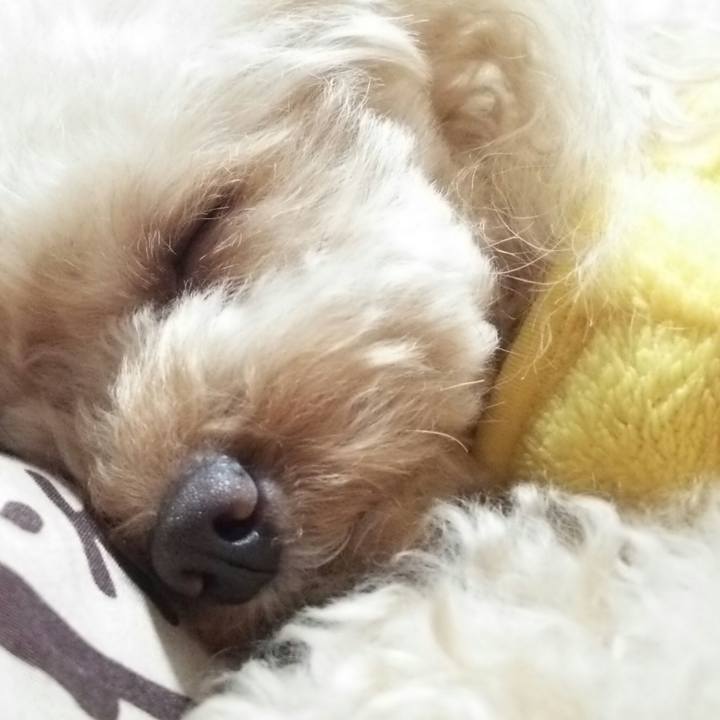 A090e851 122b 4746 80b2 838d88c5015e 1543325296158