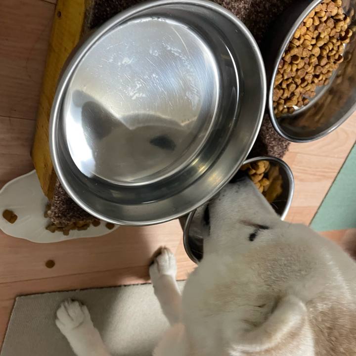 A0910d0a 629e 4d56 a8a6 9bdbafb6fe64 1700521517163