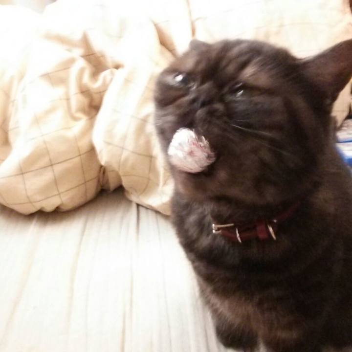 A0911053 f066 433e 8db3 6e143664648f 1510490219372