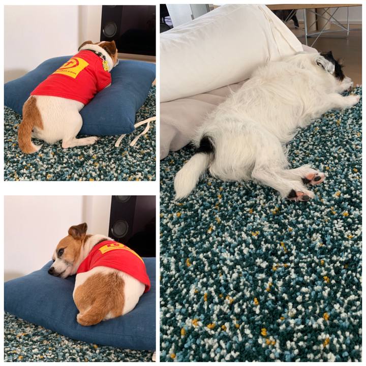 A0911829 2a44 401a a8e6 59d0db85c188 1562643077155