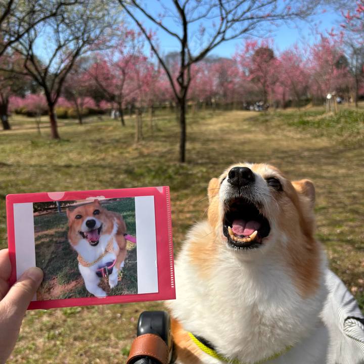 A0912f19 8039 42b9 bc52 f7664636f225 1773901374122