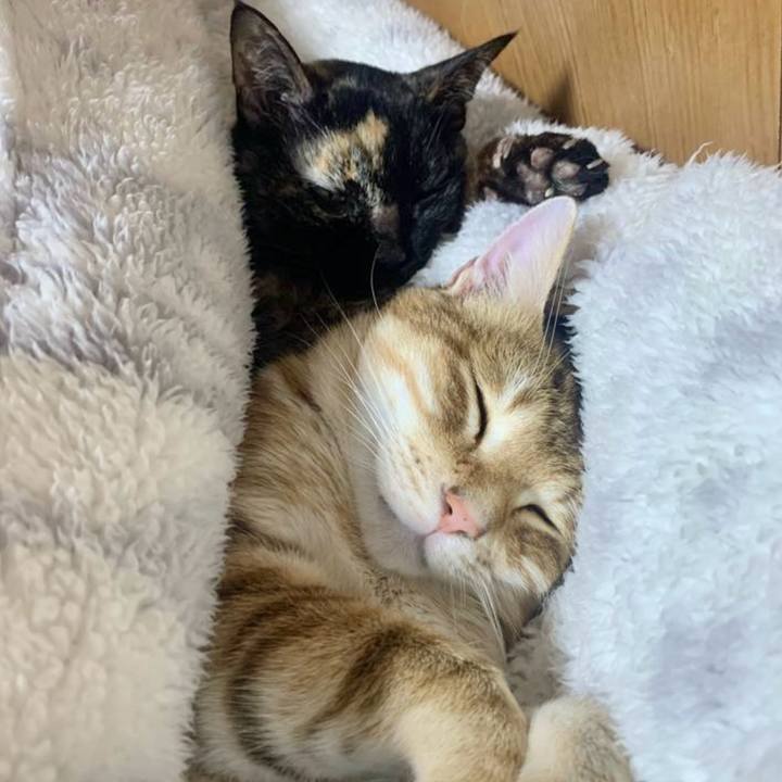 A0914b11 0ee9 483d aa3b 7d5f9e66ff38 1766273140551