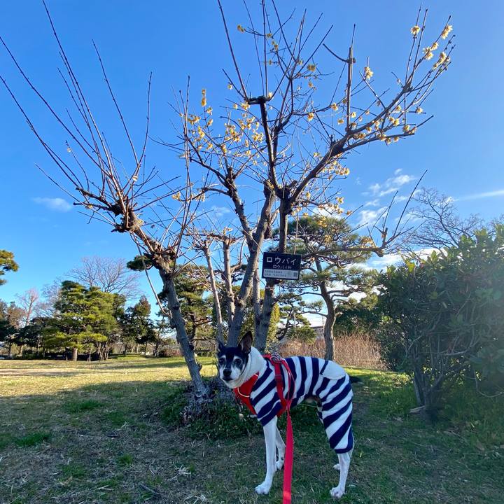 A091757e 645b 43f5 8a79 26e9f67dc28e 1611977961607