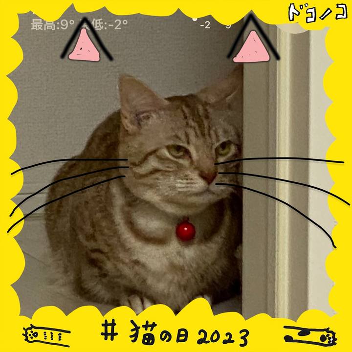 A09196cf 7fc0 4514 b52d fc68dbf51e43 1677020489199