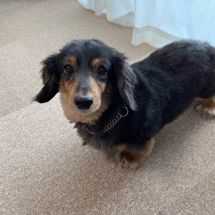 A091be8b ab31 4be0 8b09 f32f2f901990 1557179786439