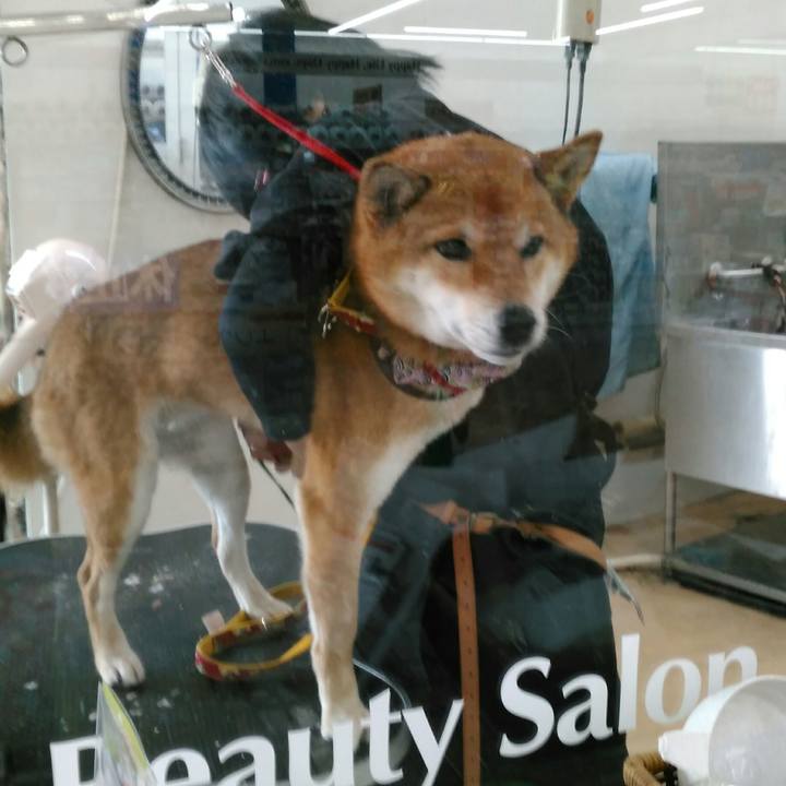 A091daad 06c0 44a5 9a46 85f78ac3cb1e 1519610216106