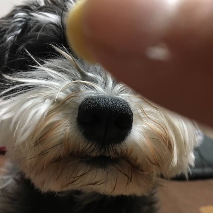 A091ef42 39c7 4dc9 82c8 847e26415432 1523618206633