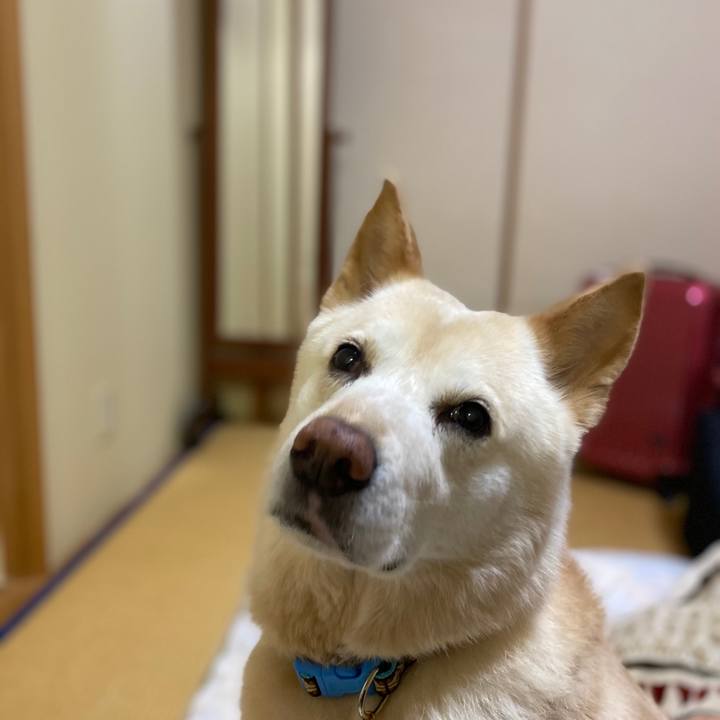 A091f880 dfbf 4008 9b2f f0024ce551f1 1584121159447