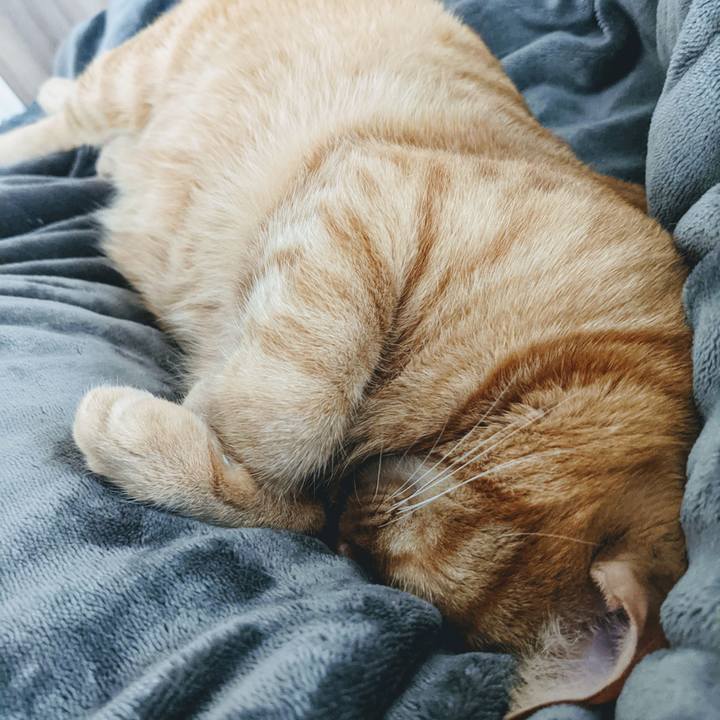 A0920634 33d6 46b4 8b84 6bec9d6eb494 1639202476477