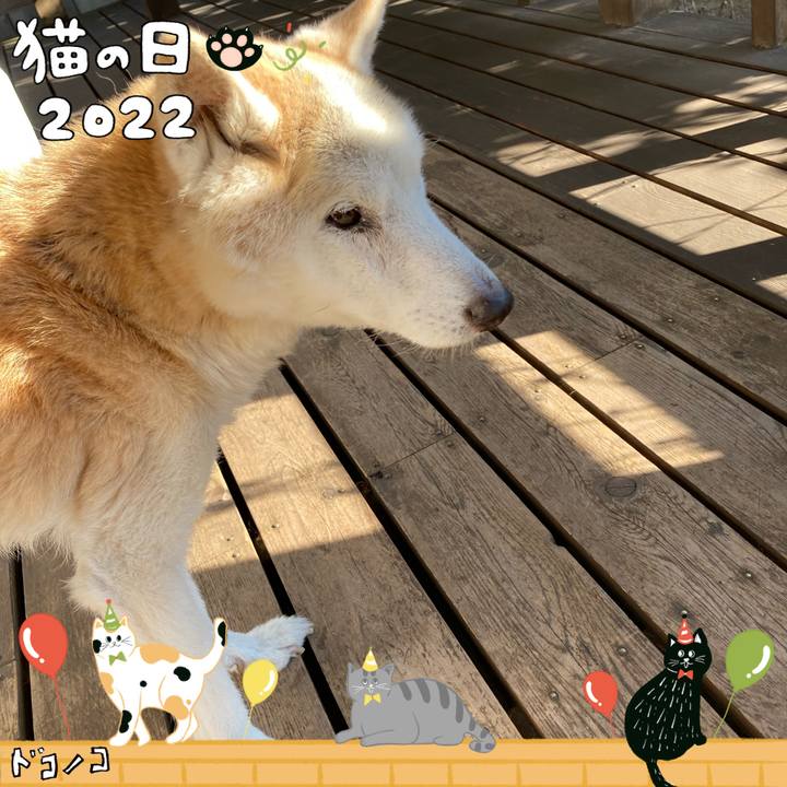 A092386e c06d 4066 b464 b68053128e88 1645501088529