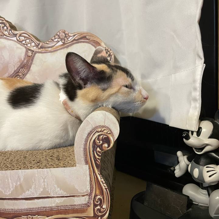 A0923d99 e26b 4ce2 8ada 1292e23b40f5 1677576765302