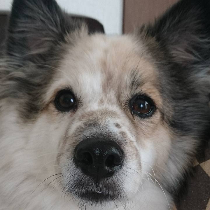 A09244c8 e125 4e23 9926 c3b45c4de6d5 1612011717597