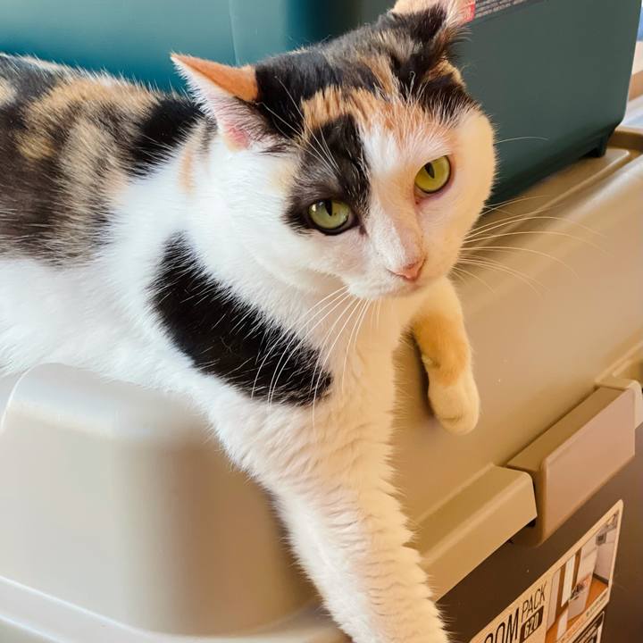 A0924867 90ac 4bd9 b832 acb00b1ae38c 1630203462945