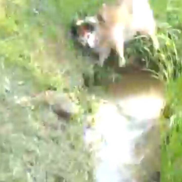 A092649b 3381 461b a581 93dccb61ad01 1554596205730