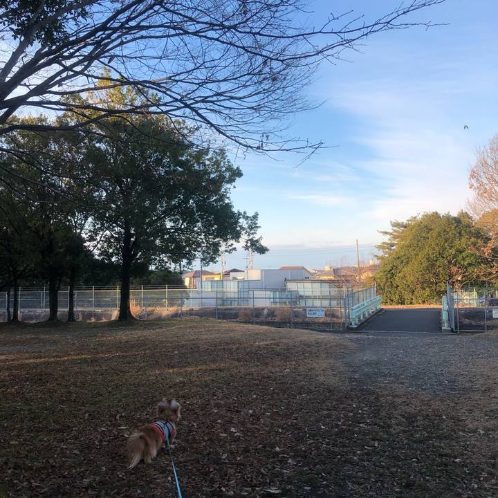 A0929830 47fb 4f3e 89ab 28f2f7f2e95f 1546731848385